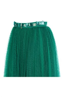 Elisabetta Franchi Midirokken Midi Skirts Green -Elisabetta Franchi Winkel e966d0a3572aaa0a6b5f859d5e34e3b9