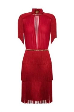 Elisabetta Franchi Feestjurken Calf-length Dress With Fringes And Short Sleeves Red