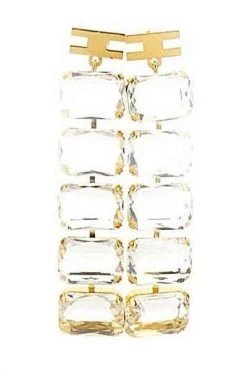 Elisabetta Franchi Oorbellen Earrings Yellow
