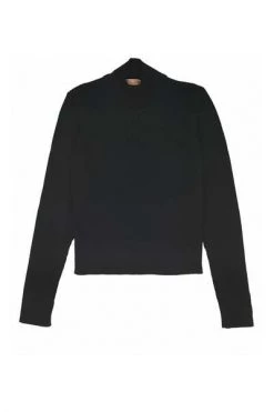 Elisabetta Franchi Truien Sweatshirts Hoodies Black