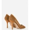 Elisabetta Franchi Pumps Brown