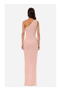 Elisabetta Franchi Jurken Gowns Pink
